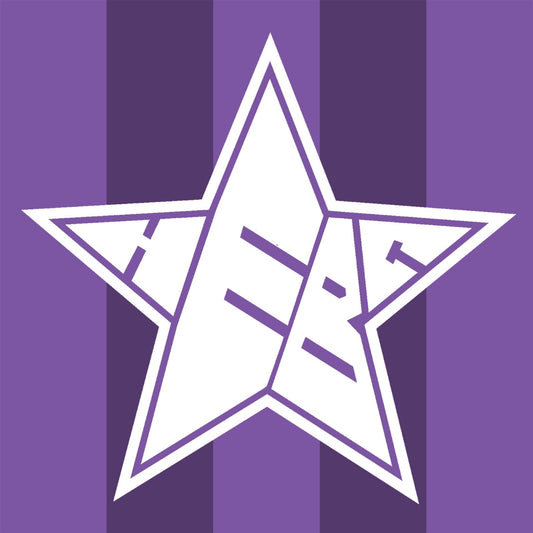 20x Aufkleber „Stern“
